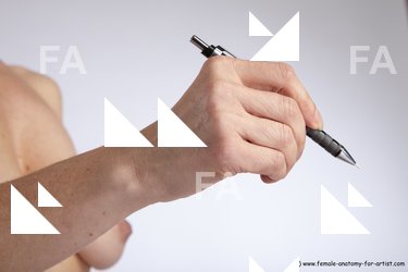 Nude Holding Woman White Detailed photos Slim short brown Pinup