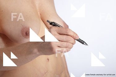 Nude Holding Woman White Detailed photos Slim short brown Pinup