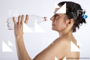 frederika requested 17