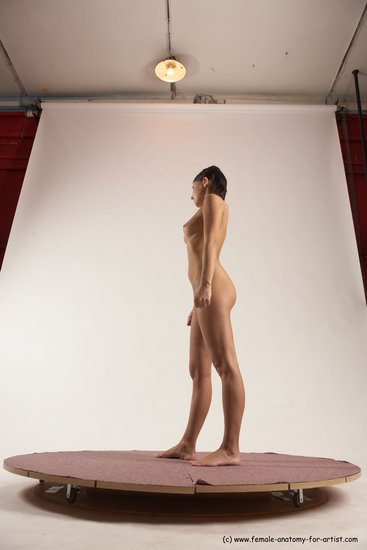 Nude Woman White Standing poses - ALL Slim medium brown Standing poses - simple Multi angle poses Pinup