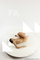 hortenzie laying 07a