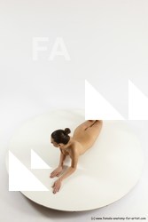 hortenzie laying 06a