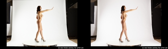 Nude Woman White Standing poses - ALL Slim long brown Standing poses - simple 3D Stereoscopic poses Pinup