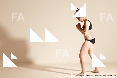 thaibox reference 02 19