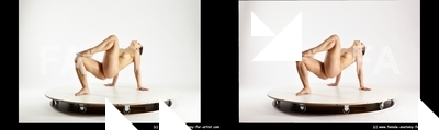stereoscopic estera 320