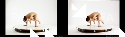 stereoscopic estera 330