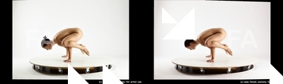 stereoscopic estera 331
