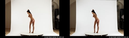 Nude Woman White Standing poses - ALL Slim long black Standing poses - simple 3D Stereoscopic poses Pinup