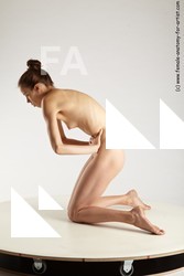 various reference of tracey 03