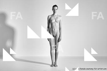 Nude Yoga poses Woman White Moving poses Slim long brown Dynamic poses Pinup