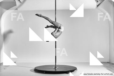 poledance reference 01 17
