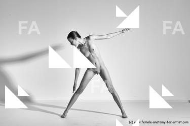 tracey reference 01 16