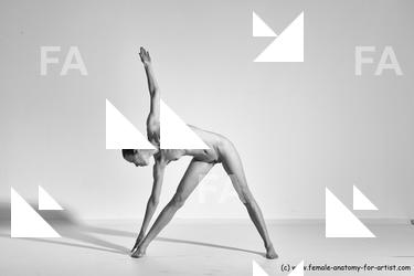 Nude Gymnastic poses Woman White Moving poses Athletic long brown Dynamic poses Pinup