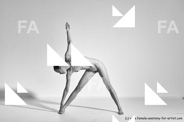 tracey reference 01 29