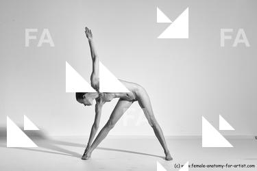 tracey reference 01 26