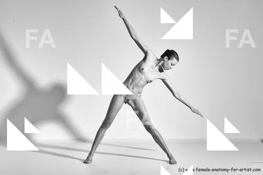 tracey reference 01 44