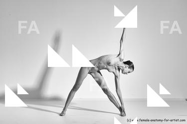 tracey reference 01 59