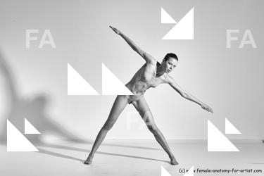 tracey reference 01 66