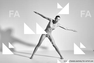 tracey reference 01 67