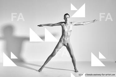 tracey reference 01 73