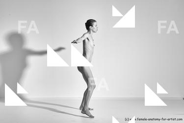 tracey reference 04 77