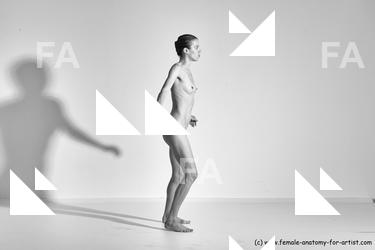 tracey reference 04 79