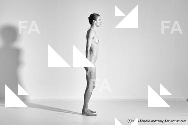 tracey reference 04 82