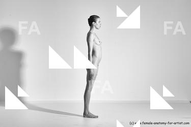 tracey reference 04 86