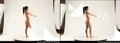 stereoscopic lorraine 022