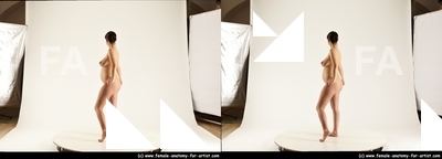 stereoscopic tara 035