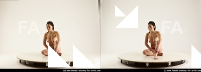 stereoscopic lorraine 346