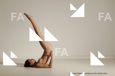 tracey reference 01 16