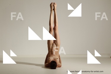 tracey reference 02 20