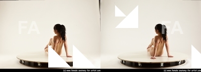 stereoscopic lorraine 387