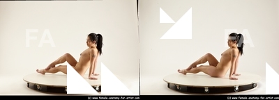 stereoscopic lorraine 386