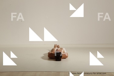 tracey reference 04 45