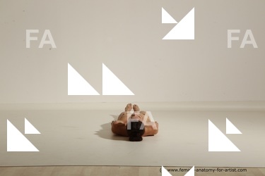 tracey reference 04 51