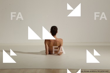 tracey reference 02 11