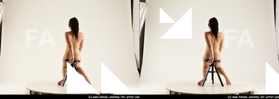 stereoscopic lorraine 213