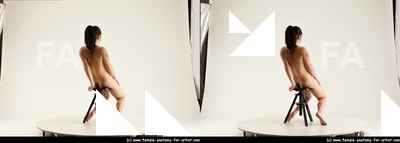 stereoscopic lorraine 214