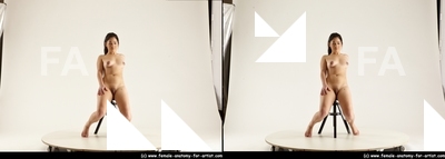 stereoscopic lorraine 209