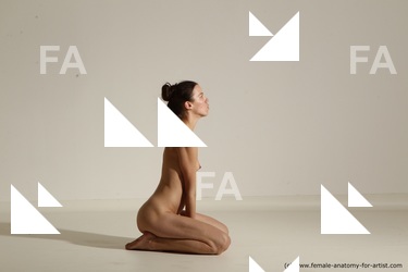 tracey reference 02 36