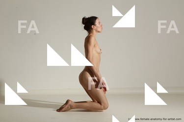 tracey reference 02 41