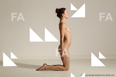 tracey reference 02 58