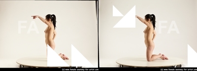 stereoscopic lorraine 243