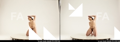 stereoscopic lorraine 251