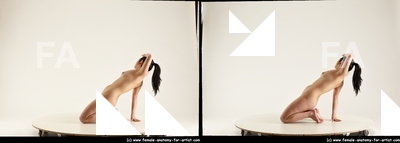 stereoscopic lorraine 253