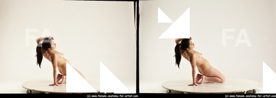 stereoscopic lorraine 256