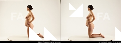 stereoscopic tara 283