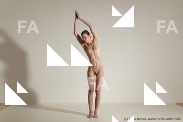 tracey reference 01 06